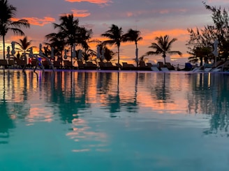 coconut trees