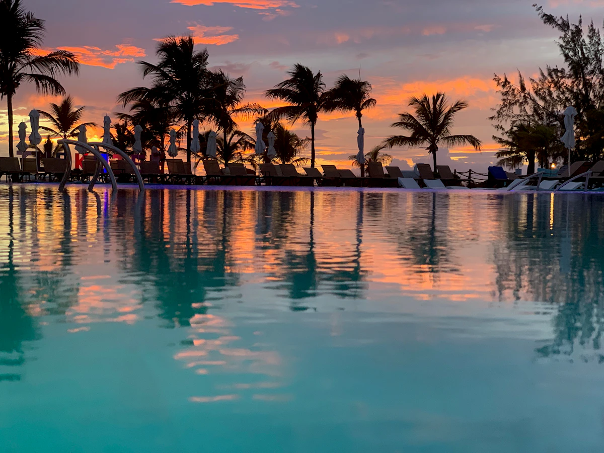 Coconut palms on a Caicos shore