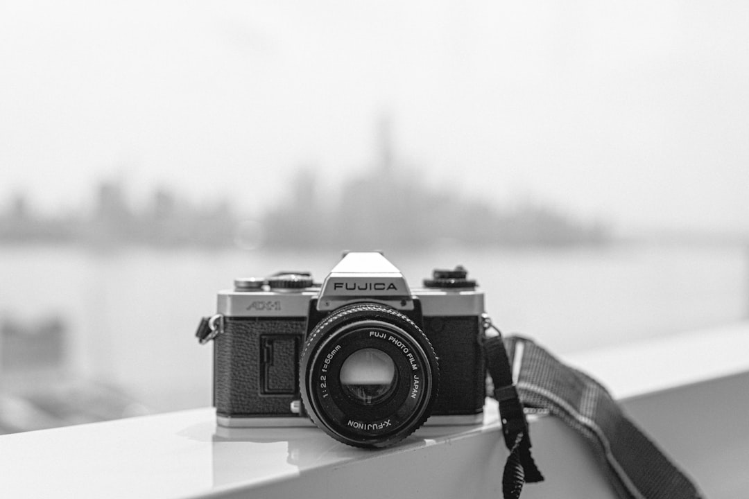 grayscale photo of bridge camera