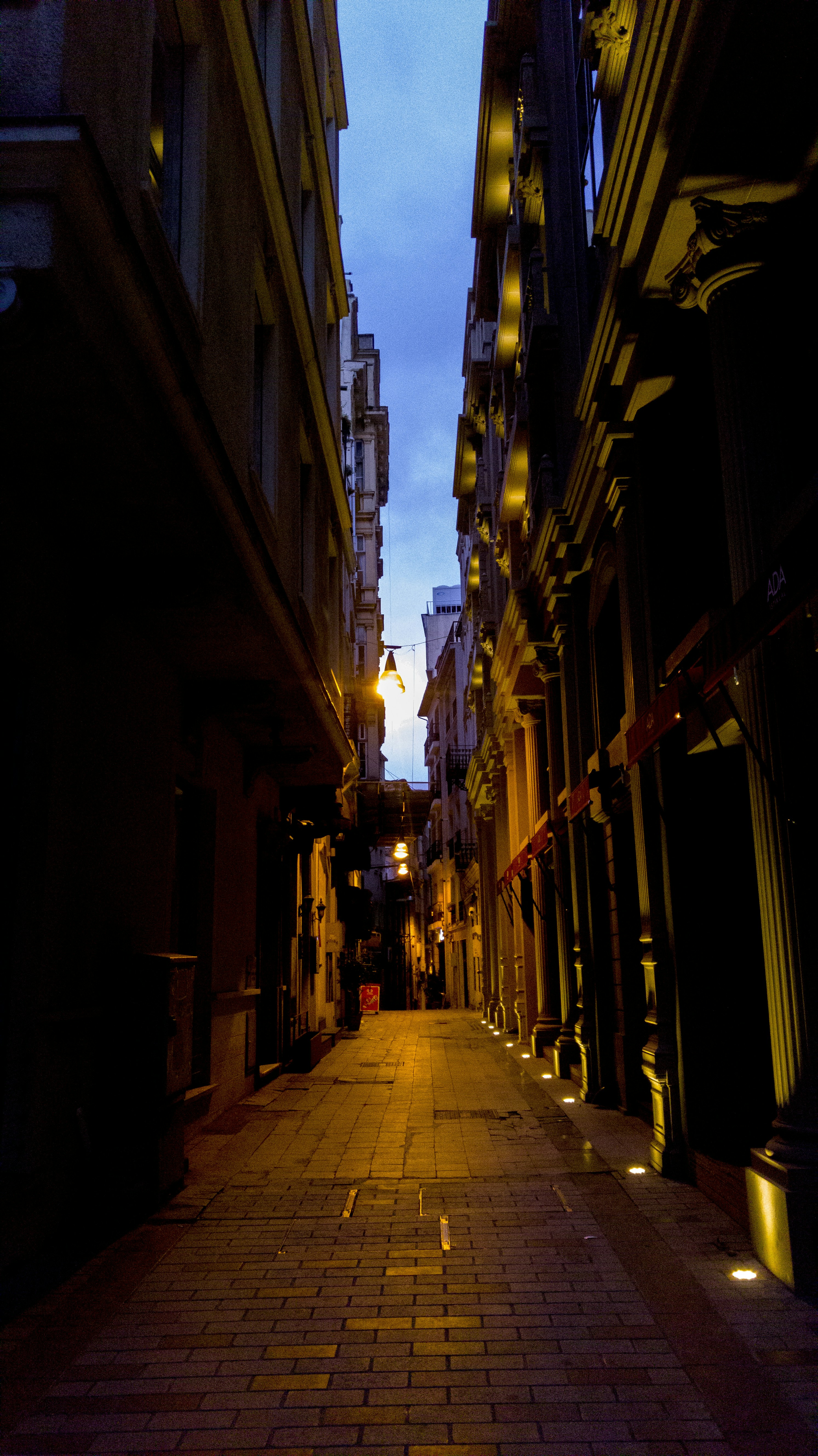 Photo by mostafa_meraji