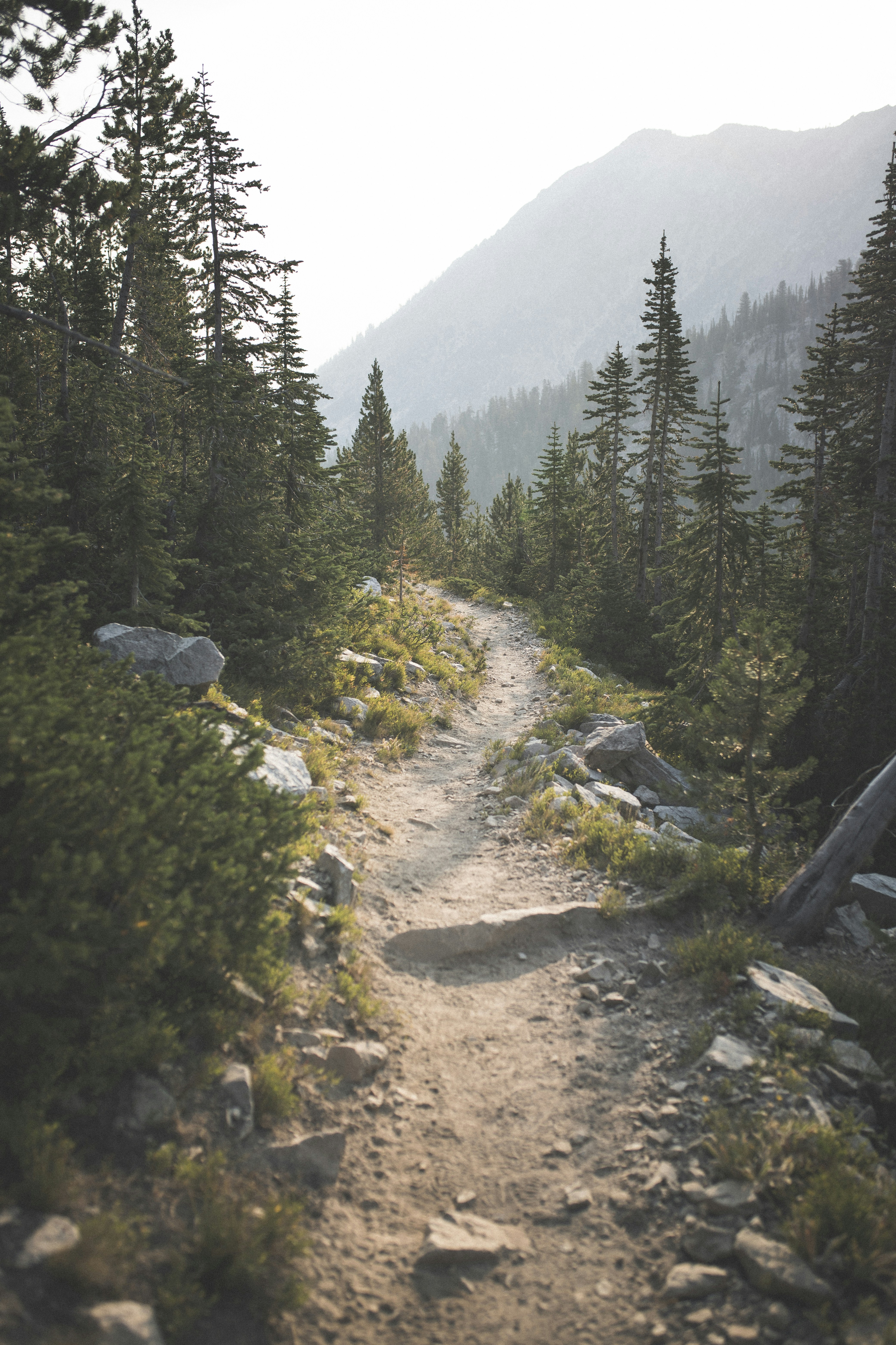 Photo by ryanpearson