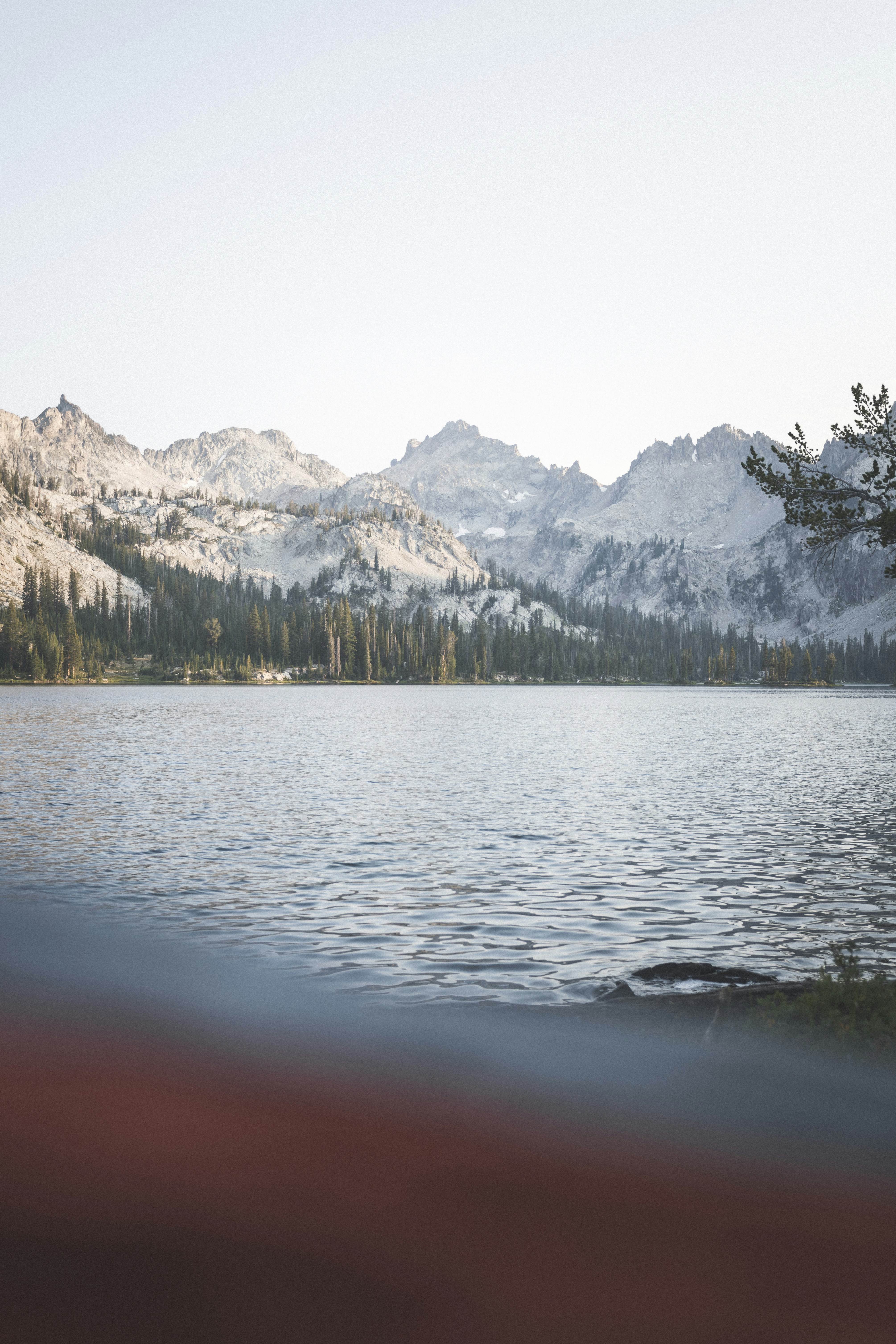 Photo by ryanpearson