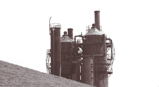 greyscale photo of building