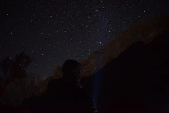 A mysterious starry night sky with a silhouette of a lone figure gazing into the cosmos.