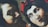 A large mural depicts two human faces with expressive features. The artwork is painted on a corrugated metal surface, creating a textured appearance. The faces are drawn in a dramatic and classical style, one with a serious expression and the other with wide-open eyes.