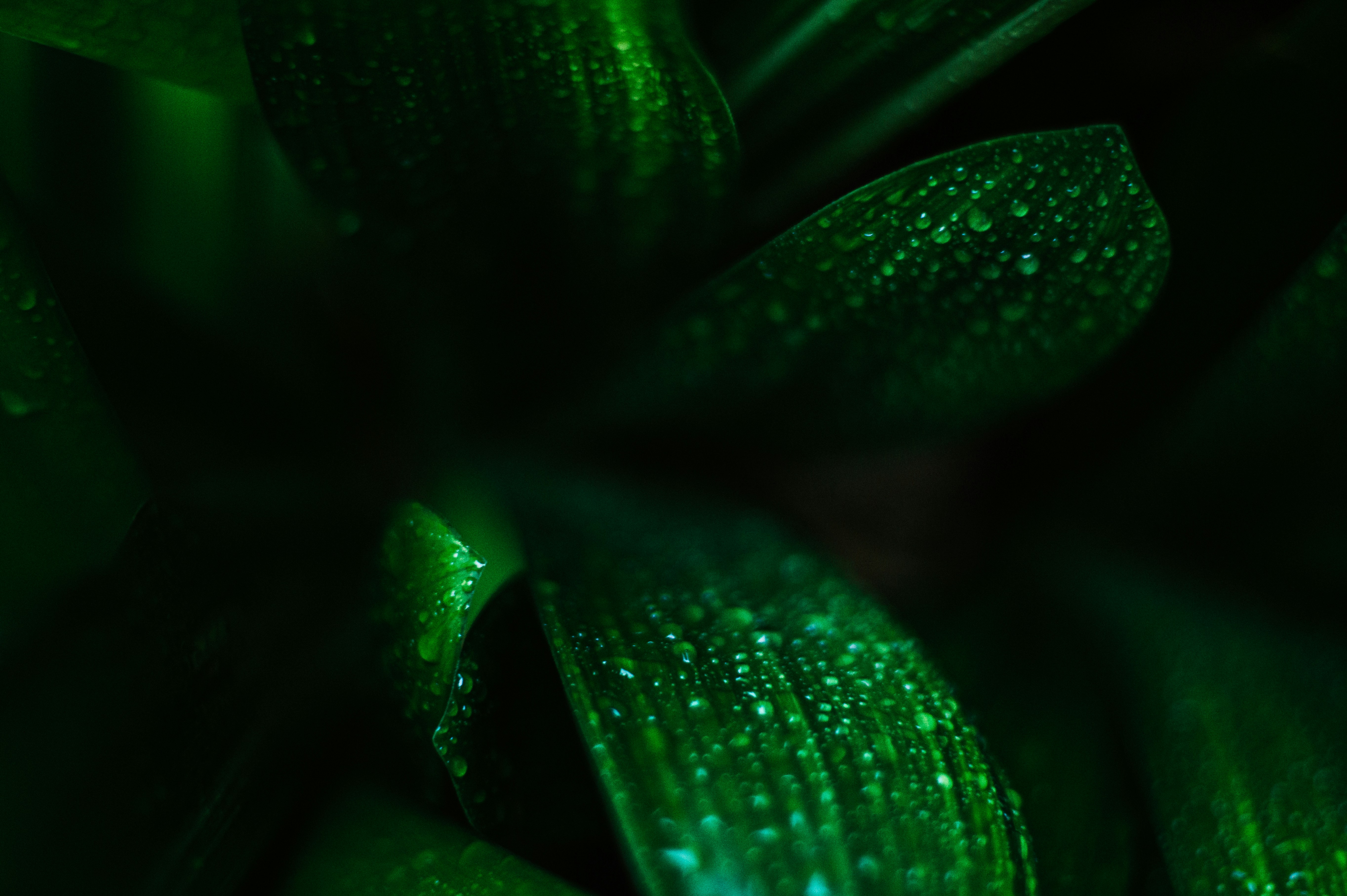 Photo by davidvondiemar