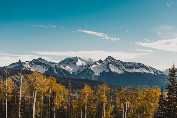 Exploring Telluride's Authentic Cuisine