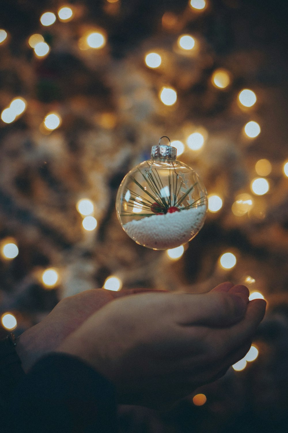 clear glass bulb decor