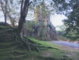A serene scene of an ancient stone temple partially covered in moss and surrounded by dense trees and lush greenery. Large, twisted roots spread across the ground, with the sunlight filtering through the dense foliage creating dappled patterns on the forest floor.