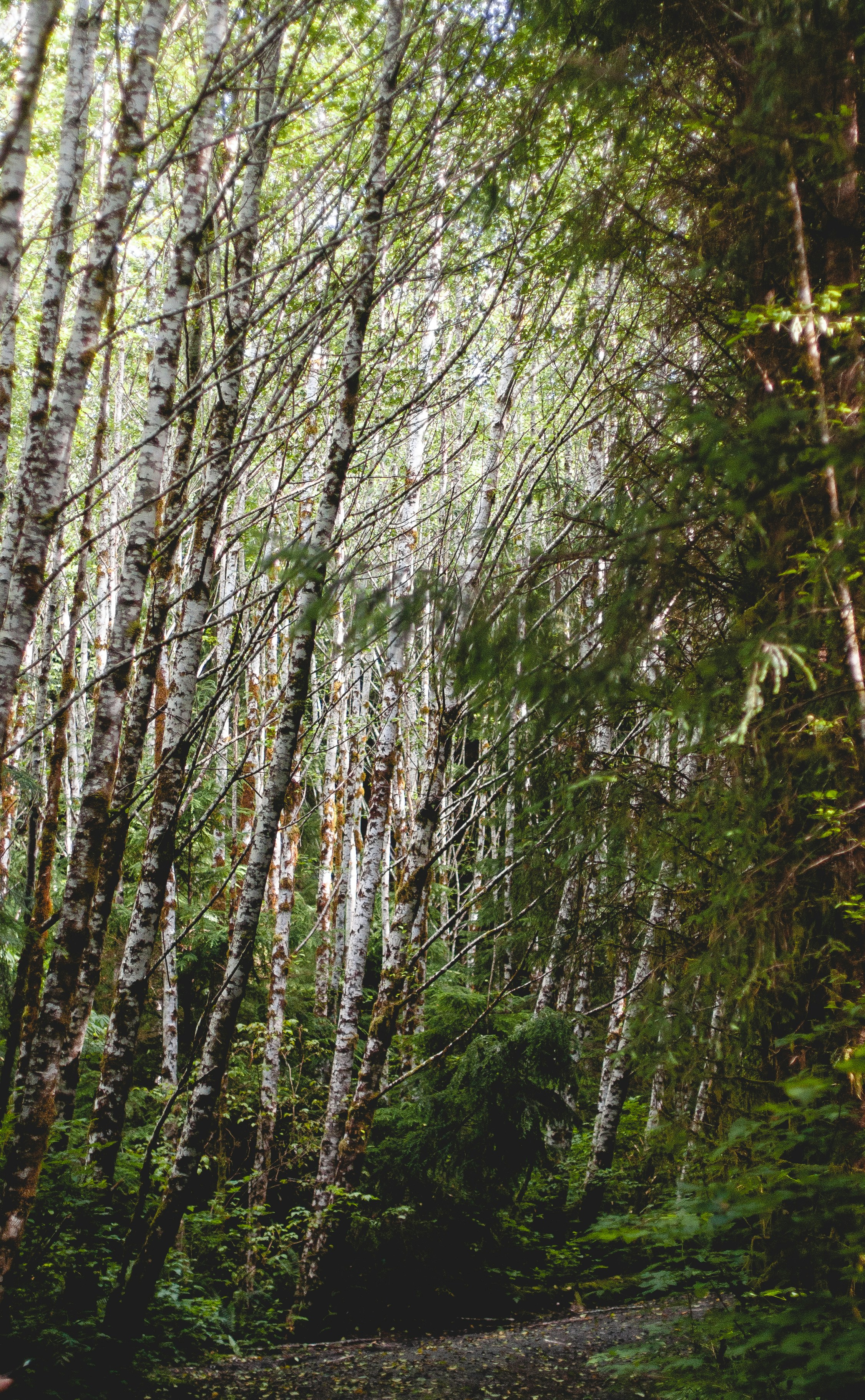 Photo by davidschultz