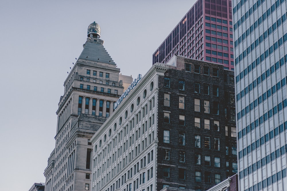 gray high-rise building