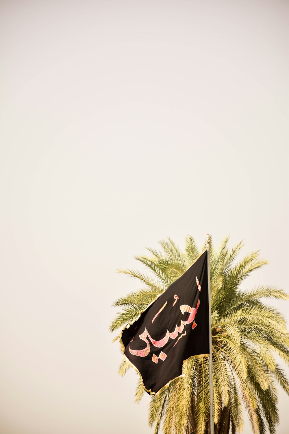 black and red flag on a pole beside green coconut tree