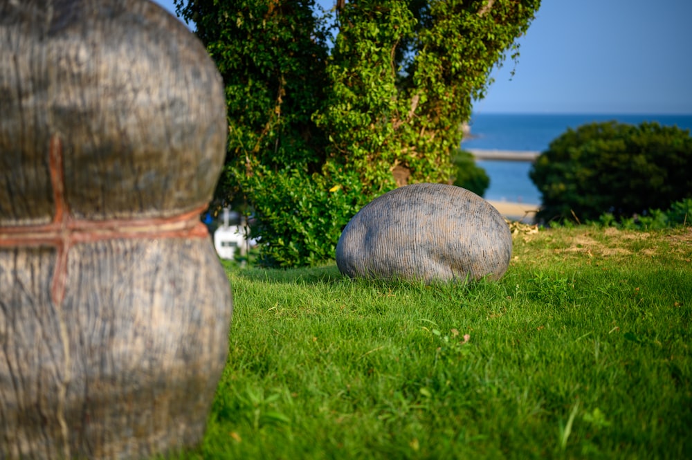 a large rock sitting on top of a lush green field