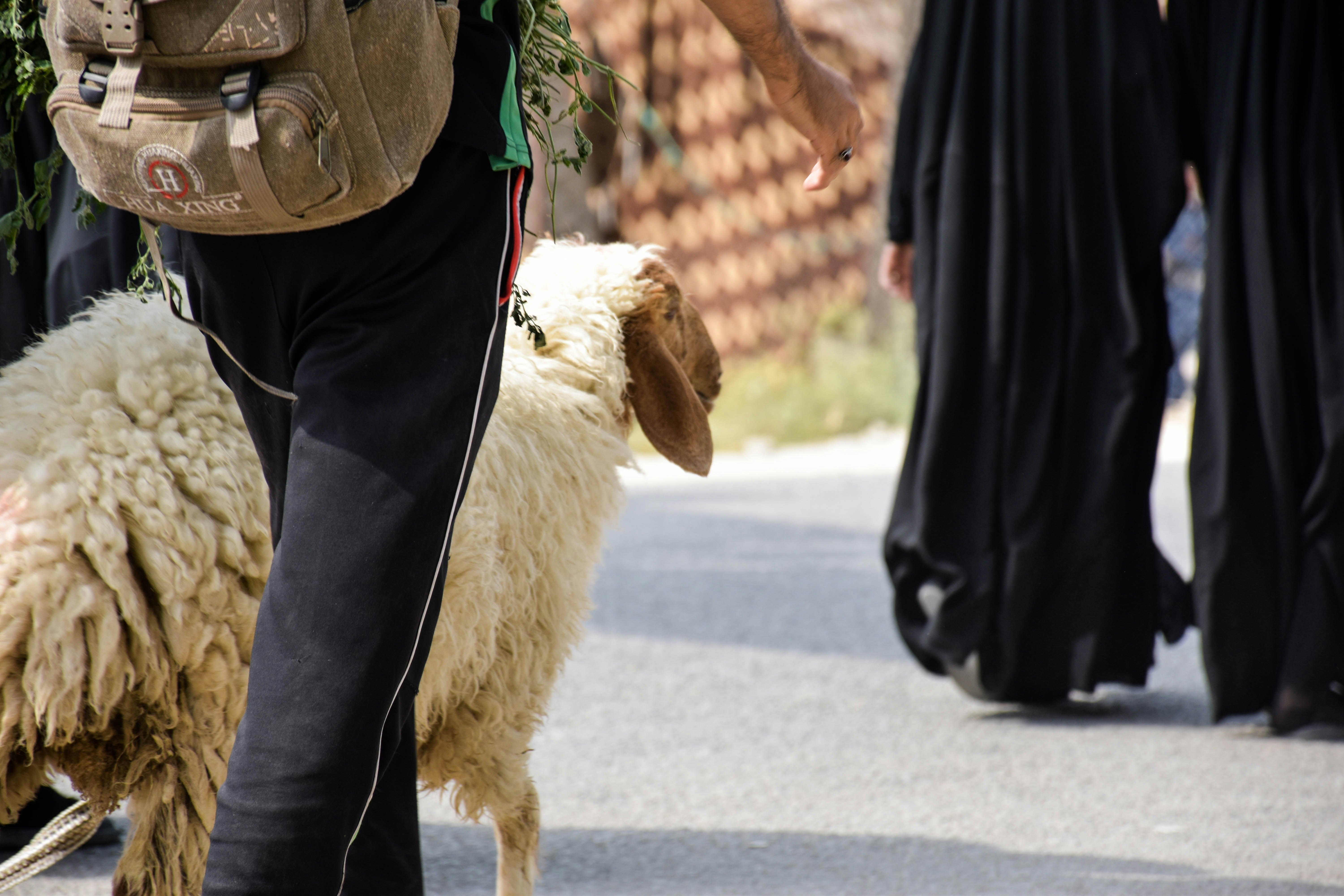 group of people on road