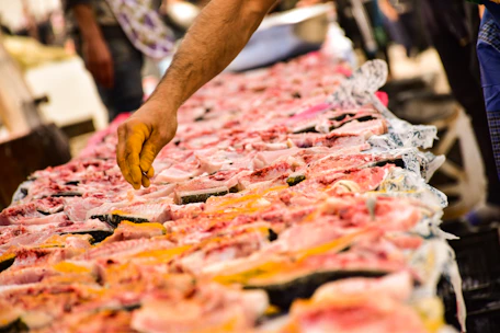 Close-up of hands selecting a shiny, fresh fish from a chilled seafood counter.