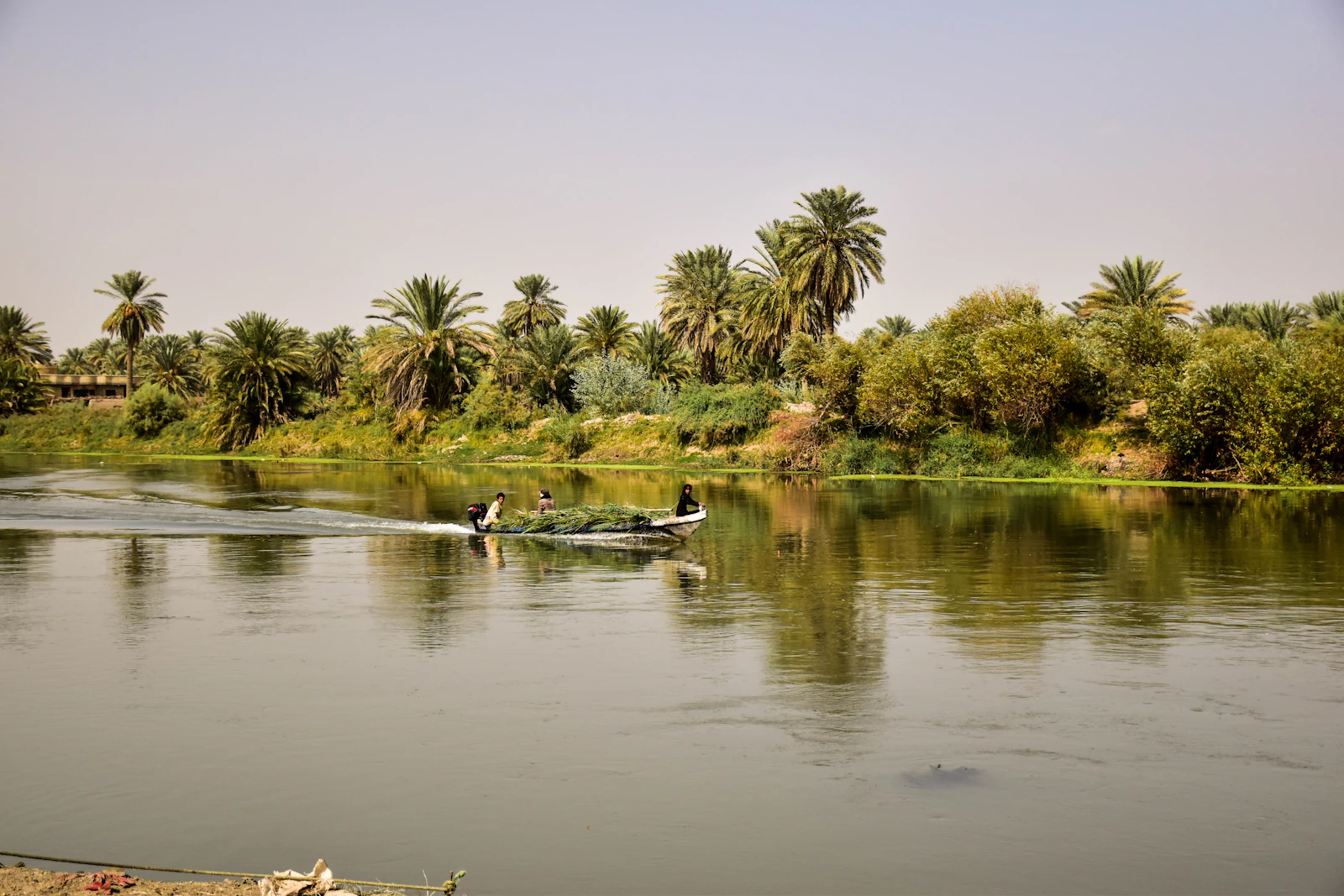 Irak