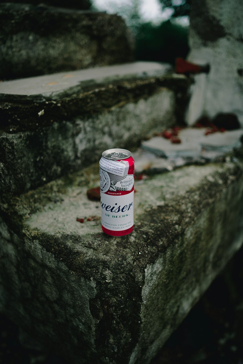 fotografia a fuoco selettivo della lattina di birra Budweiser su una superficie di cemento grigia