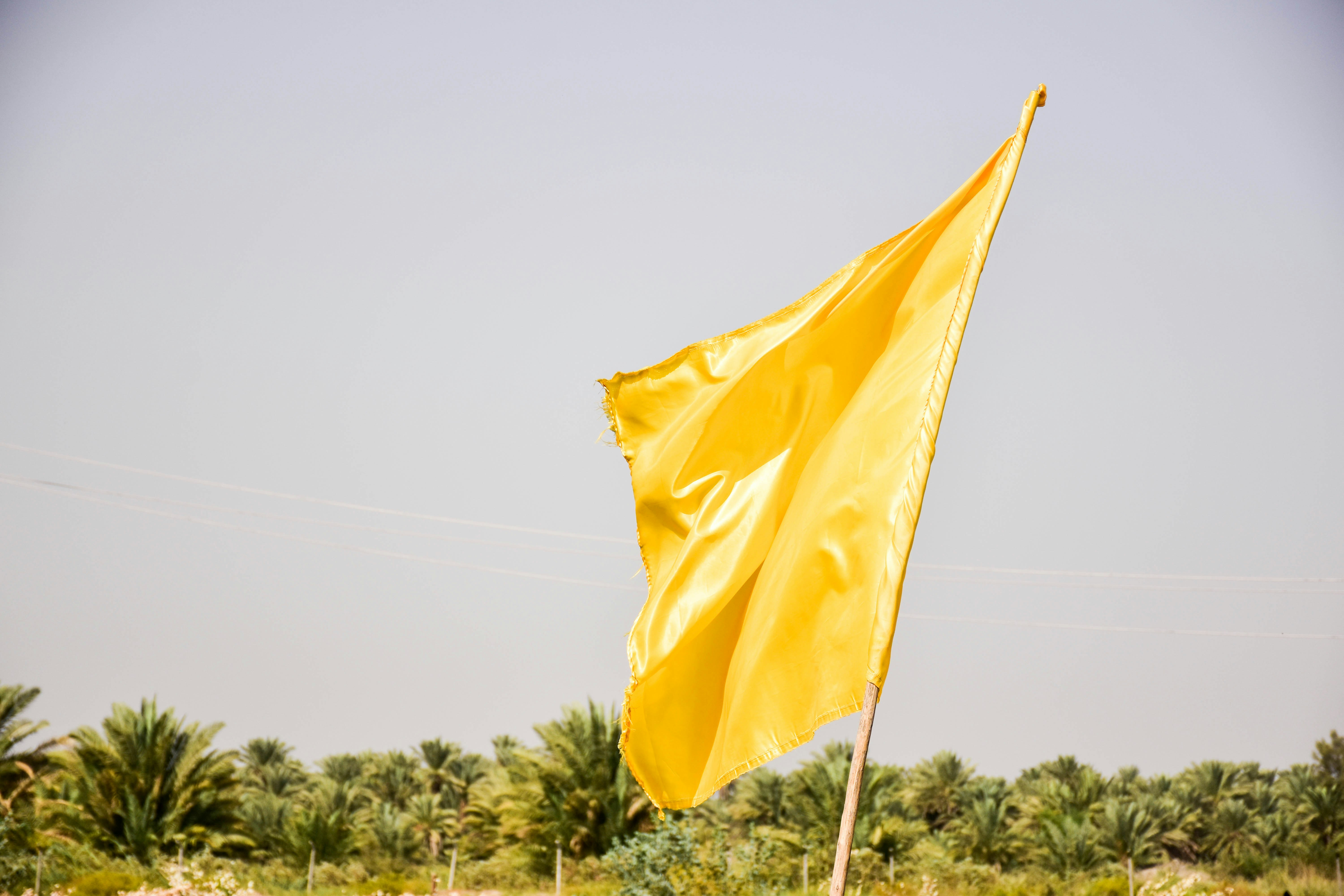 Brazilian Indigenous Concept 'Mutirao' Could Transform COP30 Climate Policy