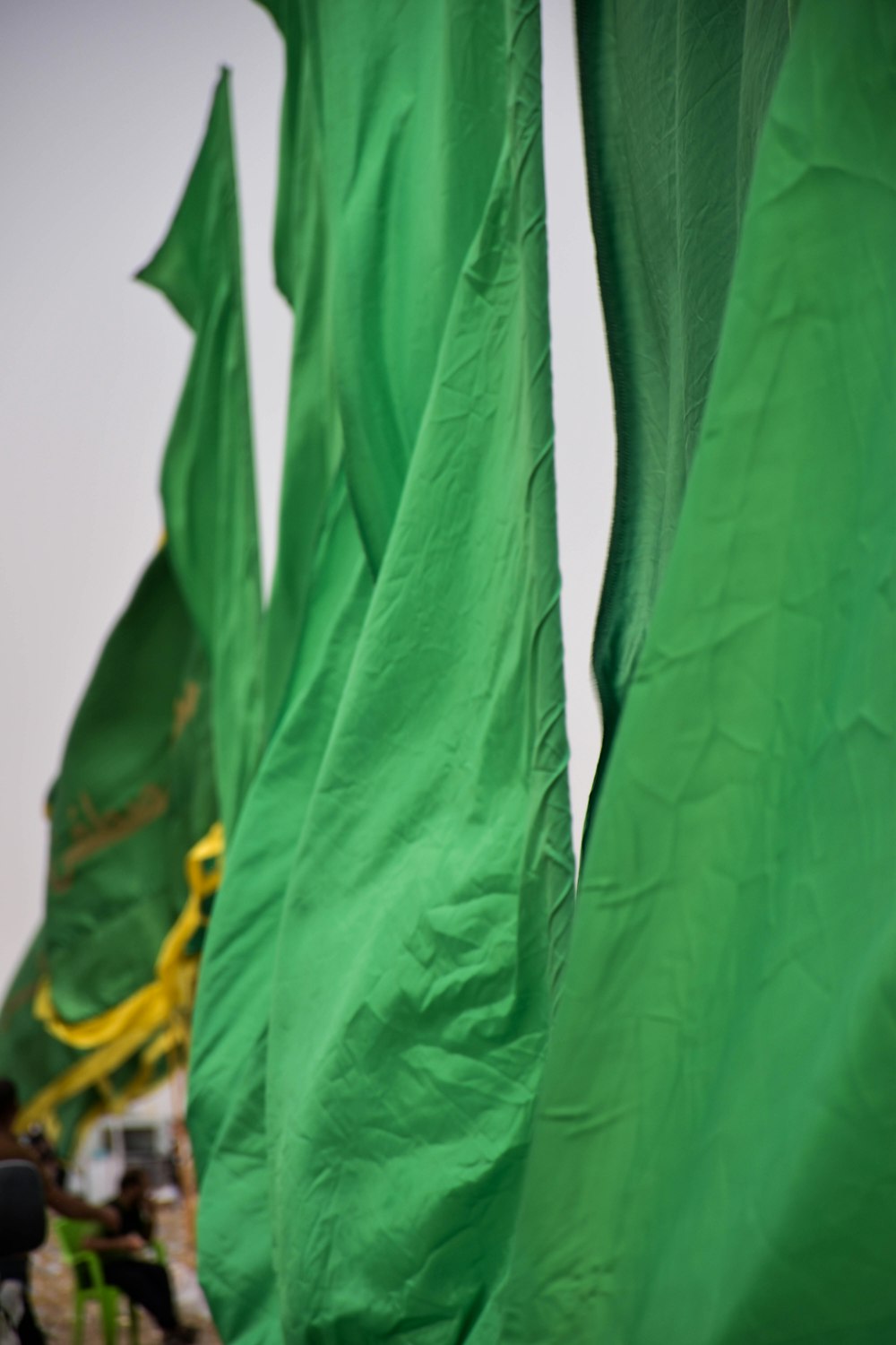 Un grupo de banderas verdes están en el viento