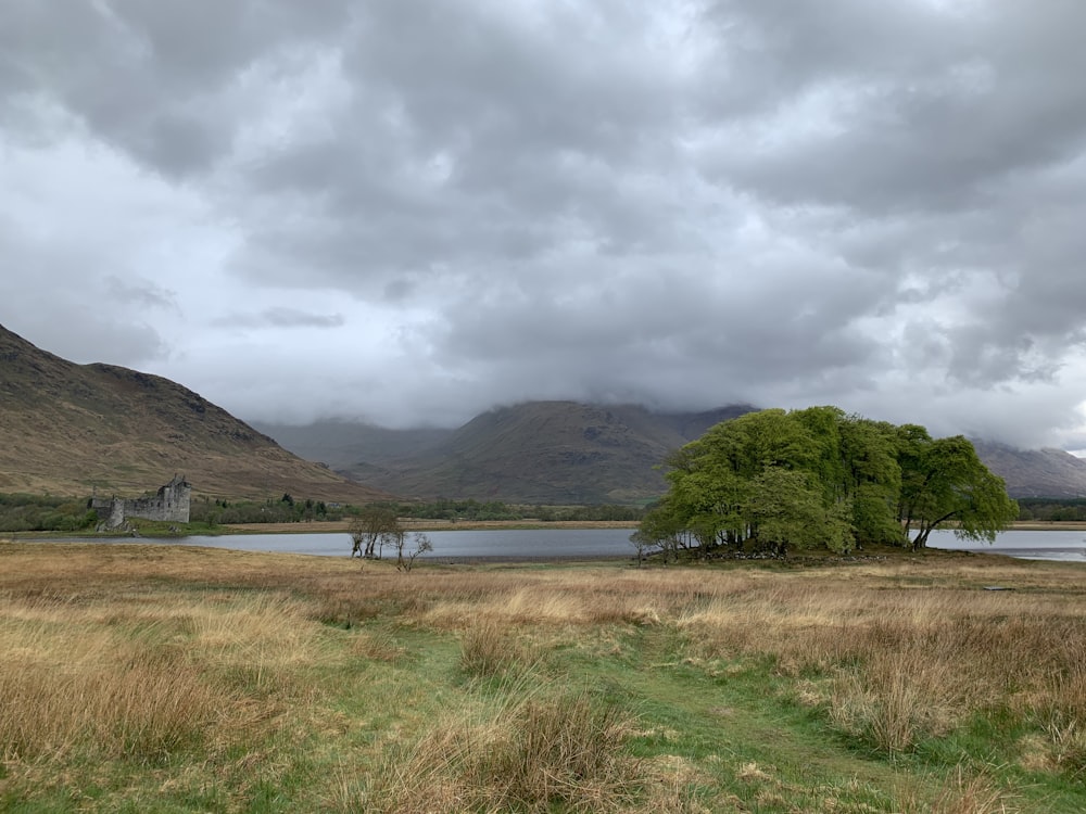 grass field near body of water