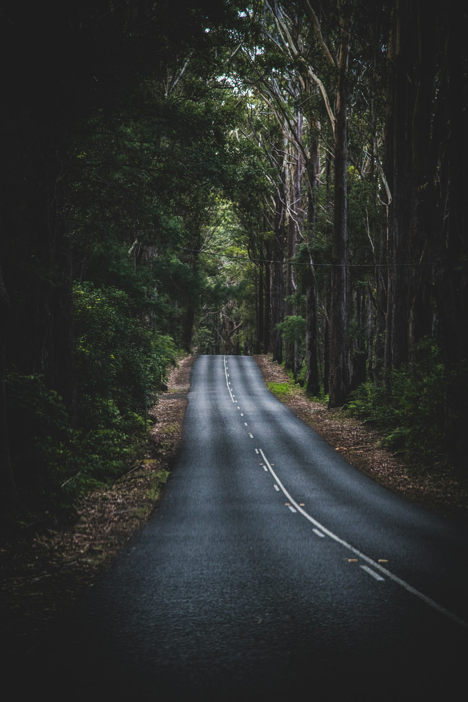 Nikon D850 + Nikon AF-S Nikkor 24-120mm F4G ED VR sample photo. Road in the middle photography