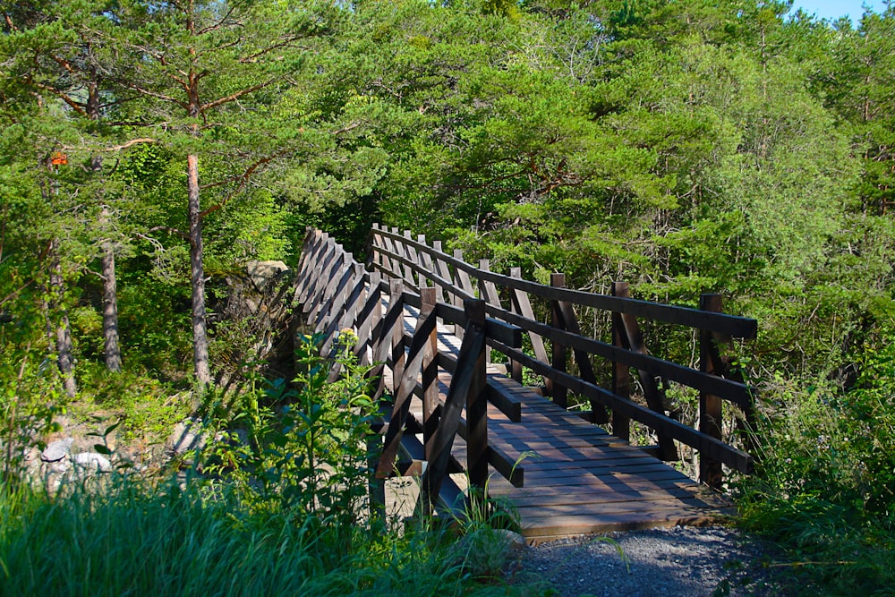 brown wooden bridge