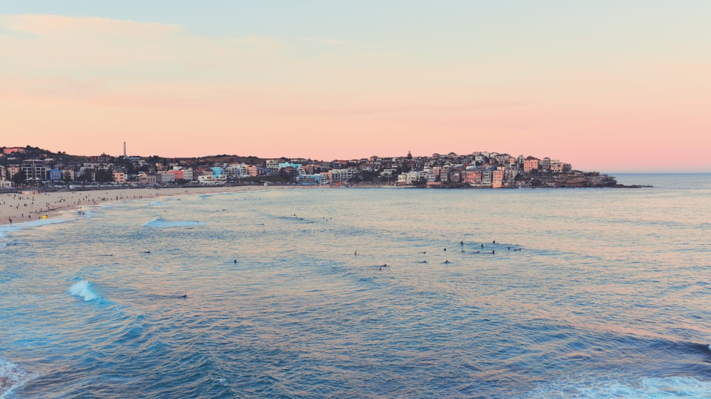 houses and ocean