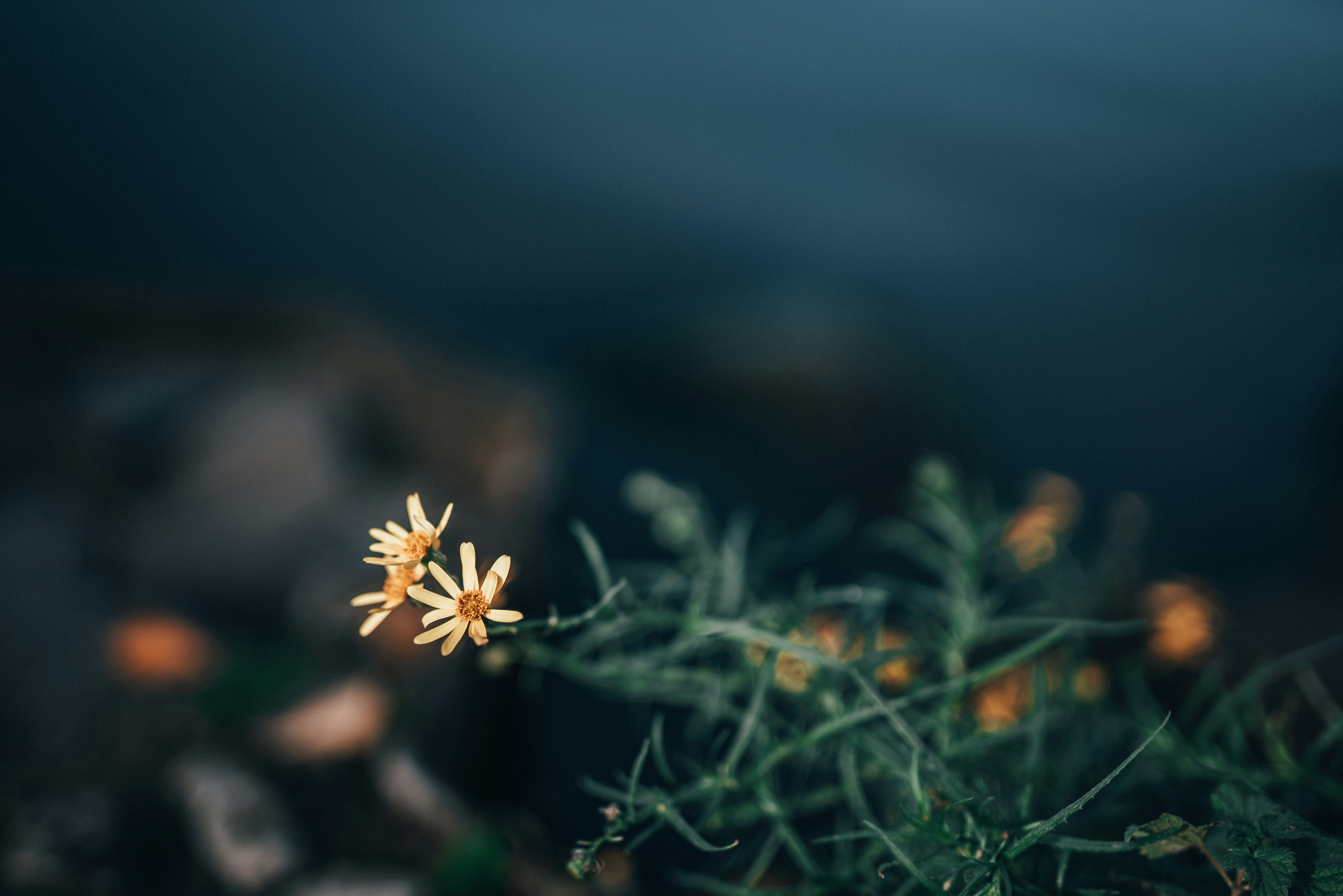 Photo by mirkosphoto