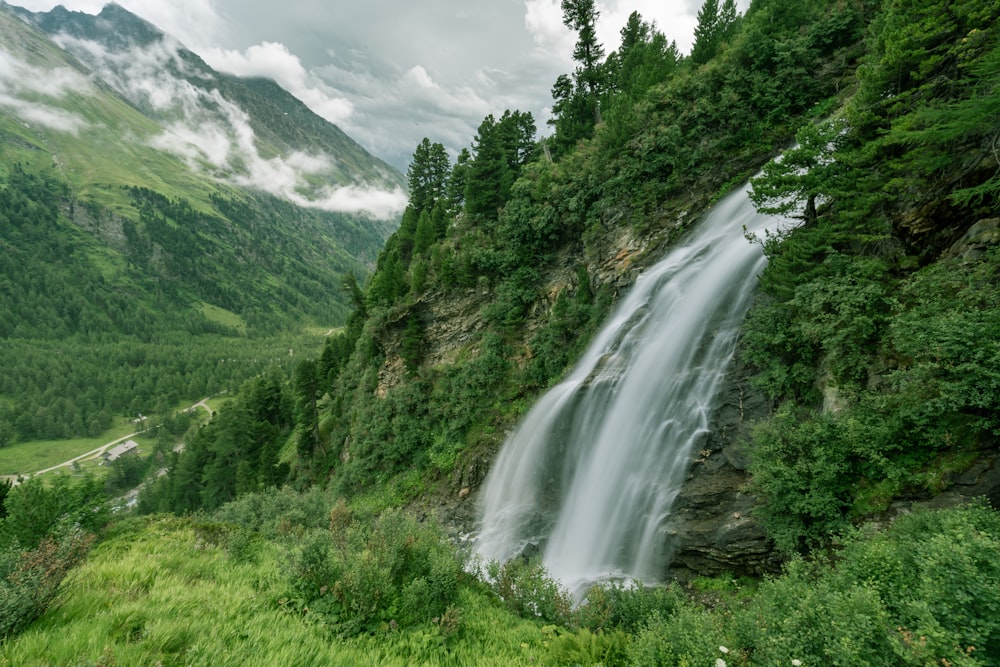 waterfalls and trees during day