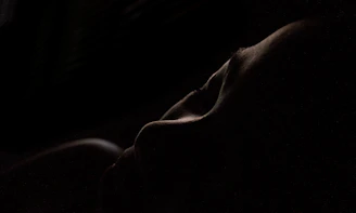 A softly lit, elegant silhouette of the Vixen with a playful, inviting smile against a transparent, layered background.