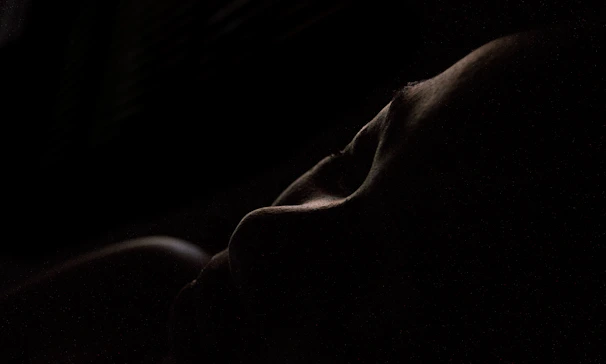 A softly lit, elegant silhouette of the Vixen with a playful, inviting smile against a transparent, layered background.