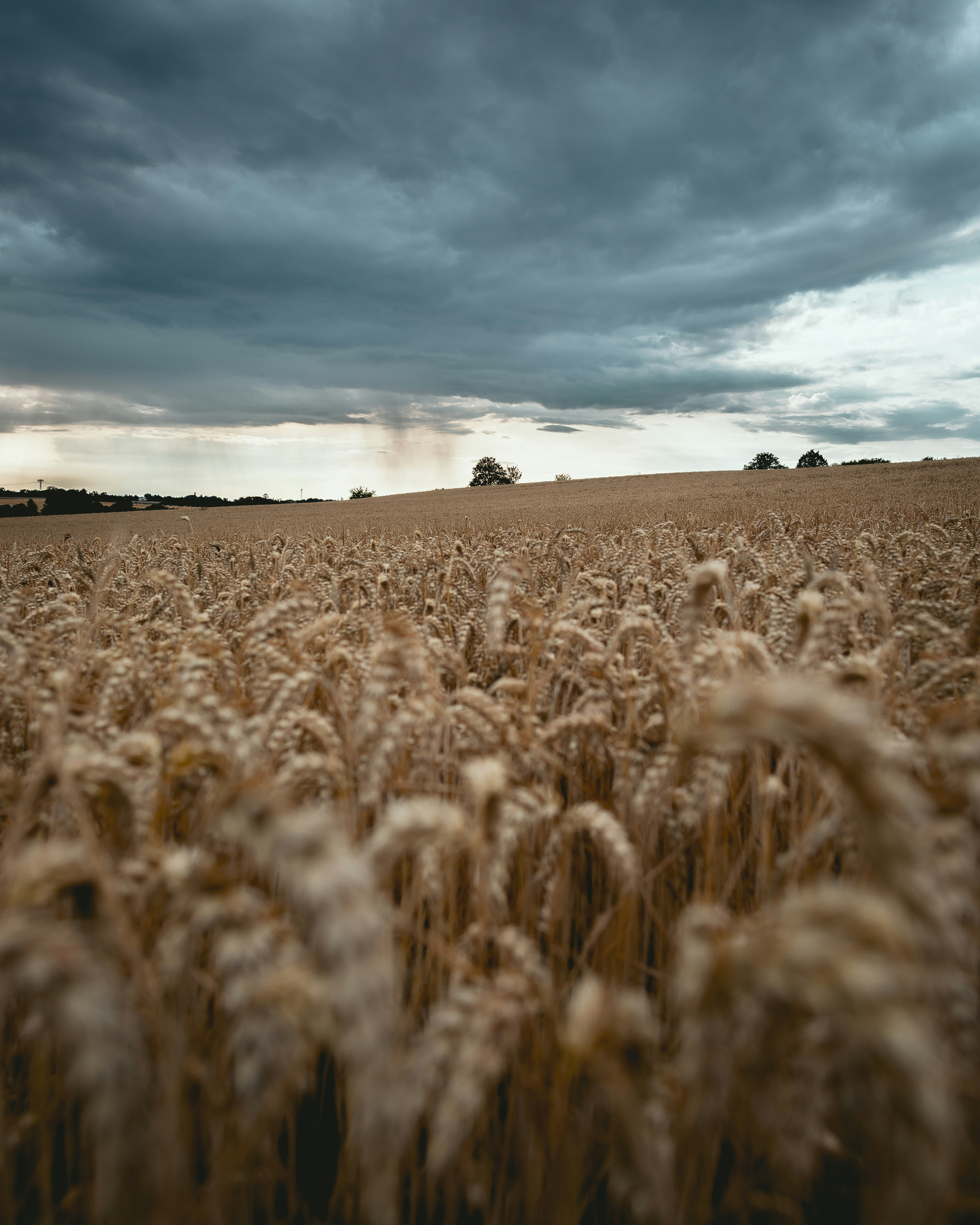 Photo by niklas_hamann