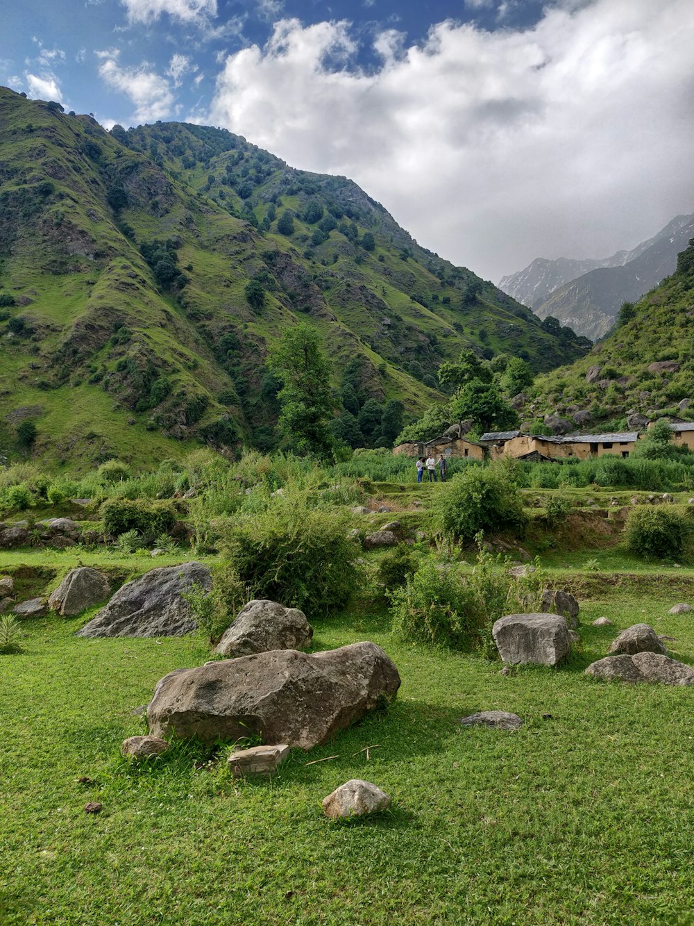 rocks on open field