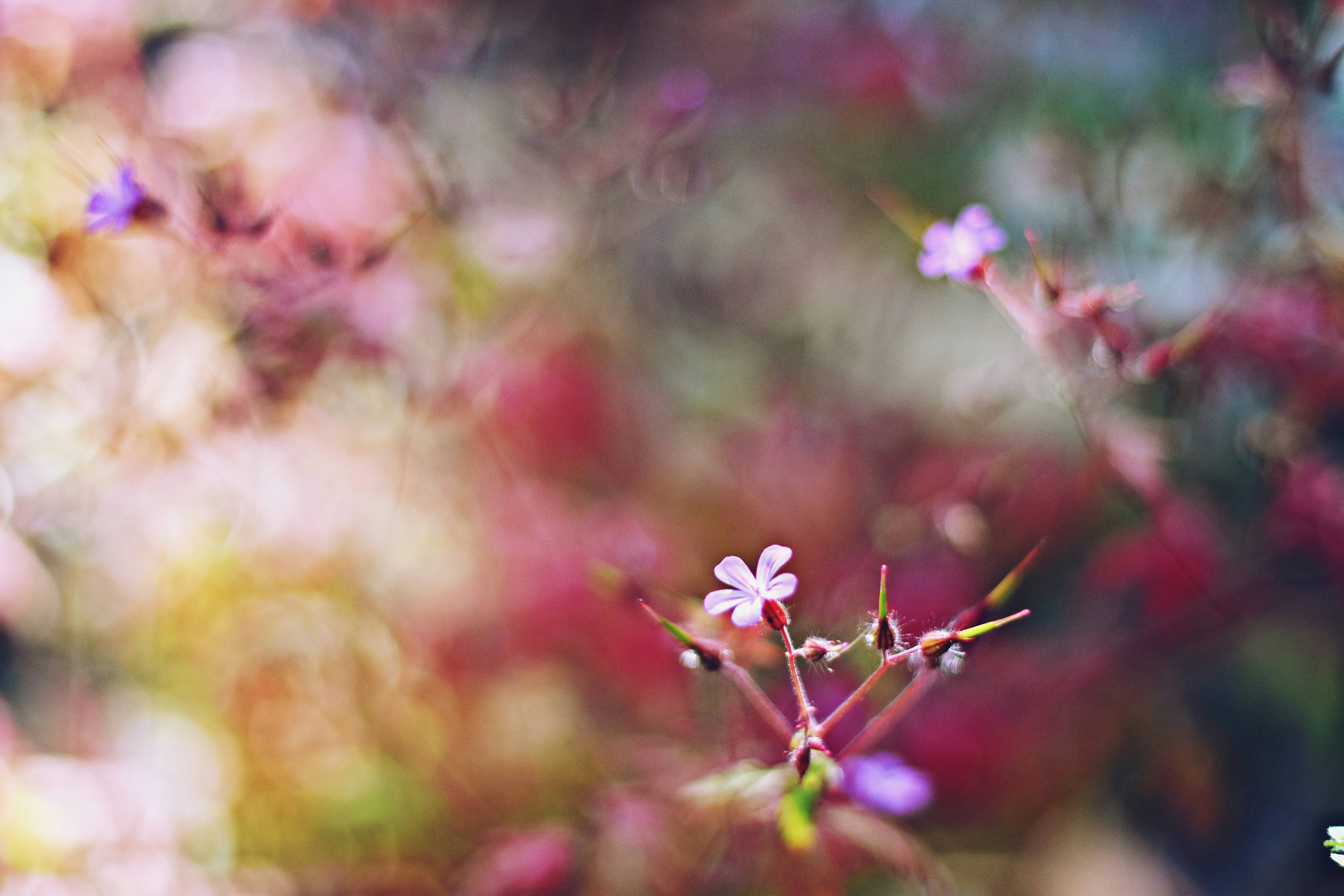 Photo by anothervirtualcorner