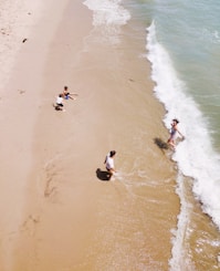family of four playing along the seashore at daytime