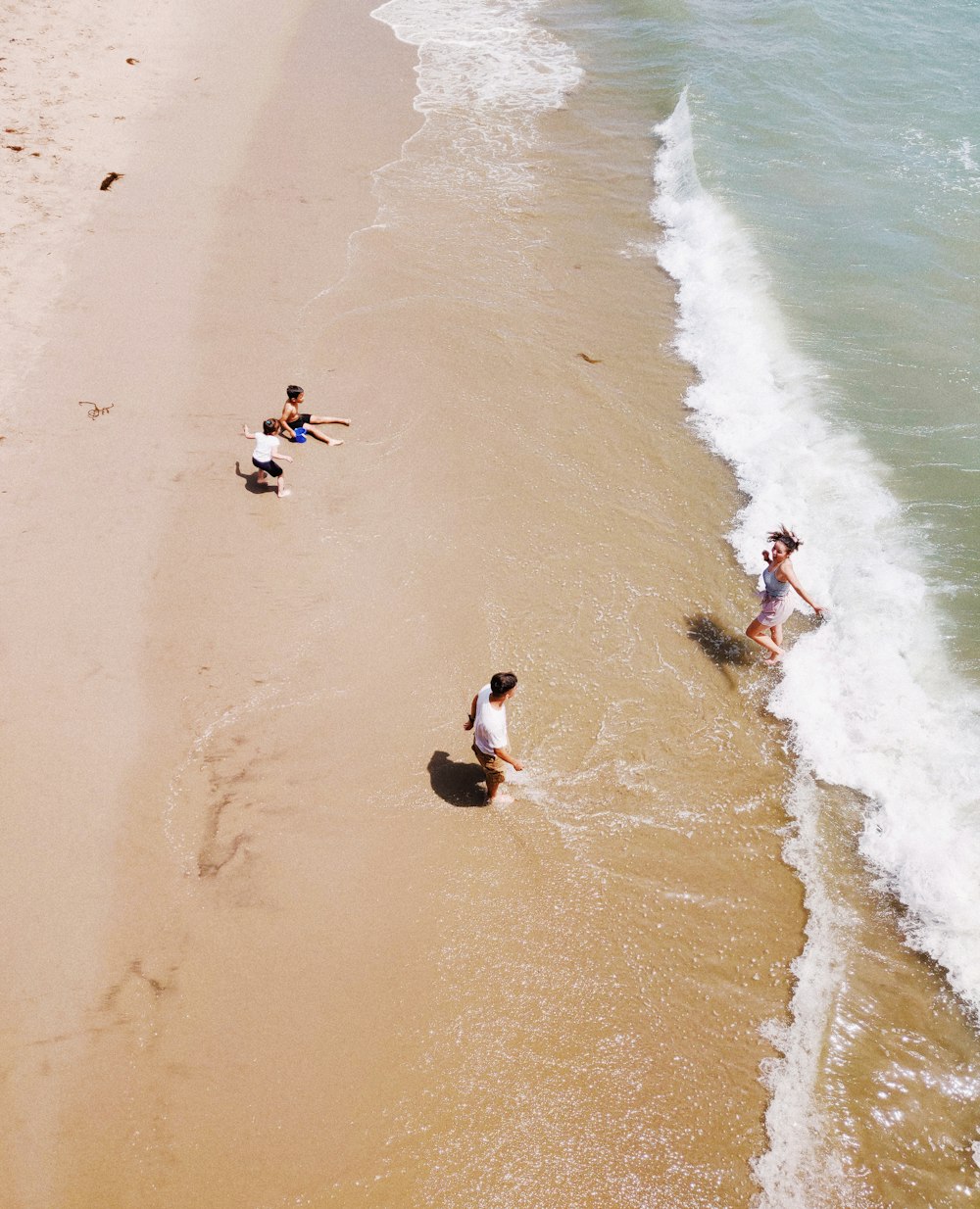 family of four playing along the seashore at daytime