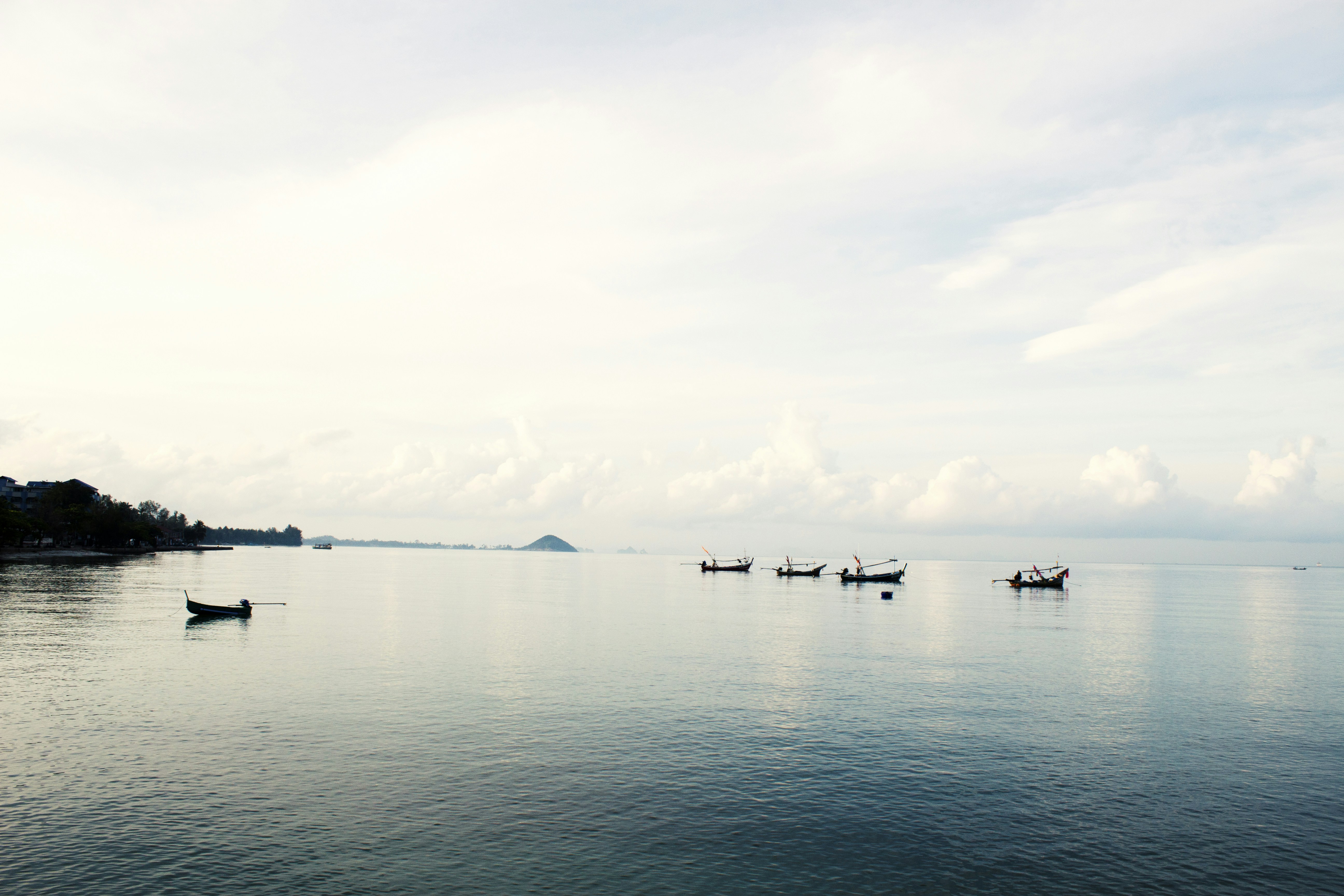 Photo by arnovanstaden