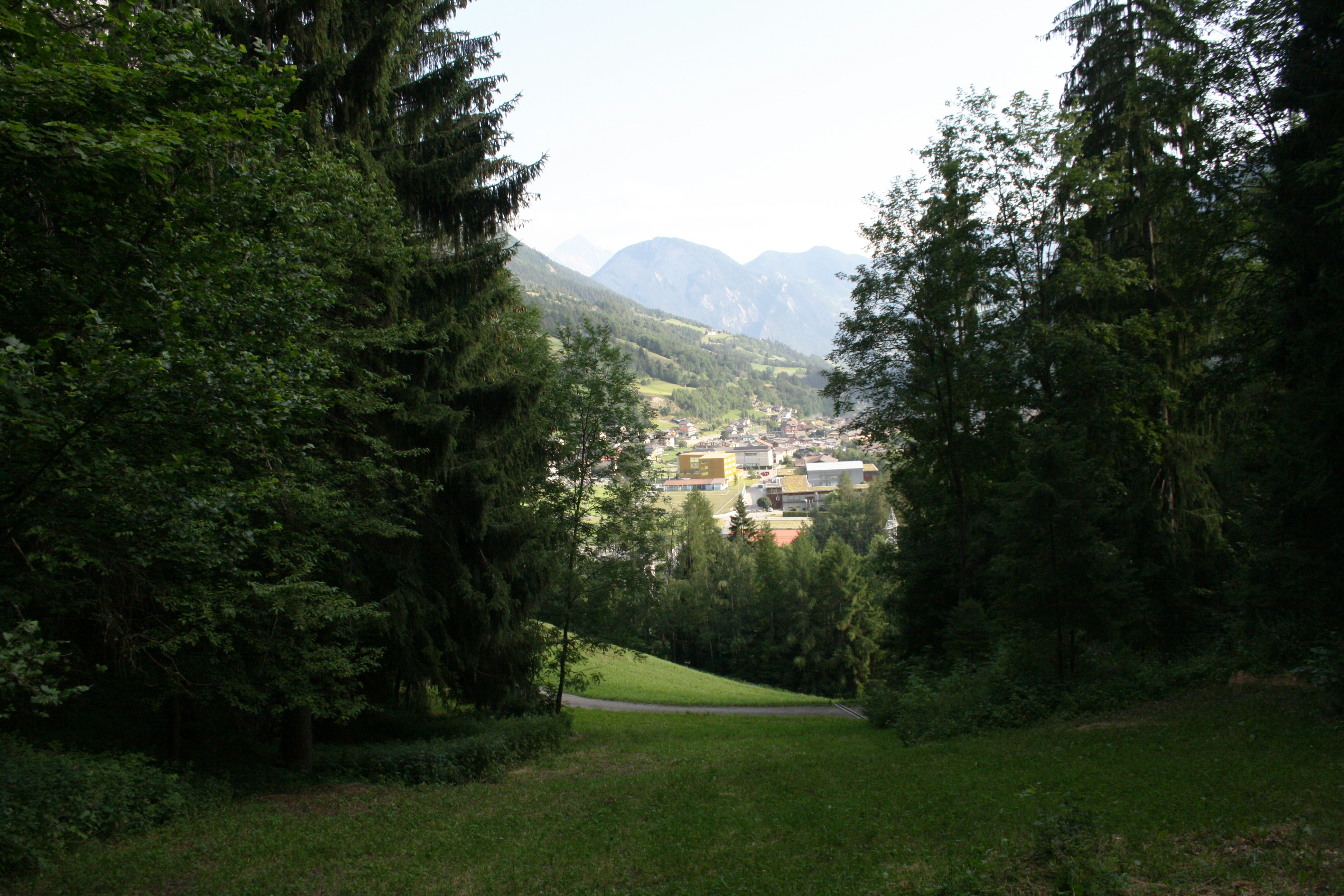 green trees - Abbey de St. Gall