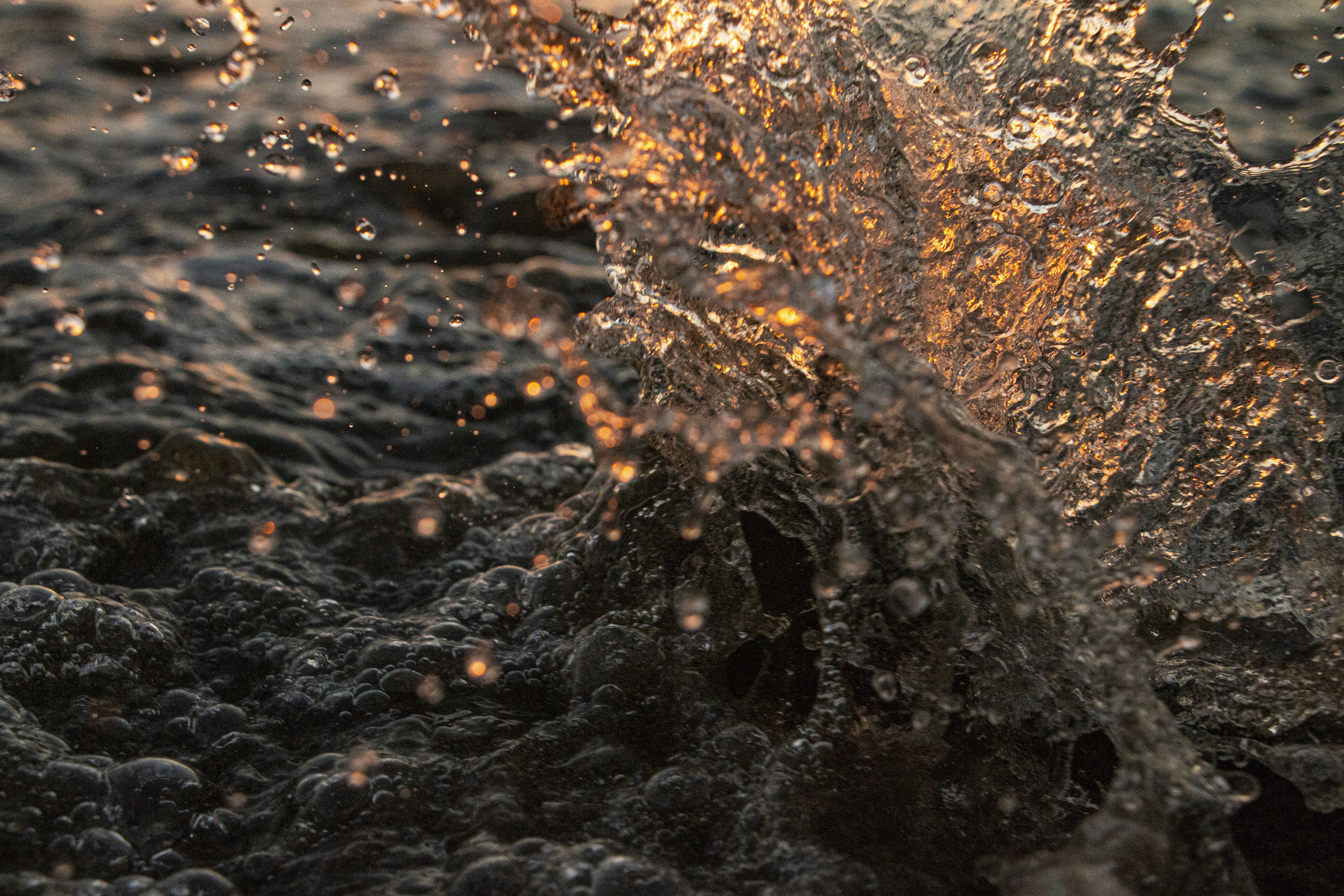 Photo by florianschmid