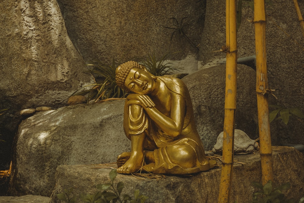 Buddha statue on rock