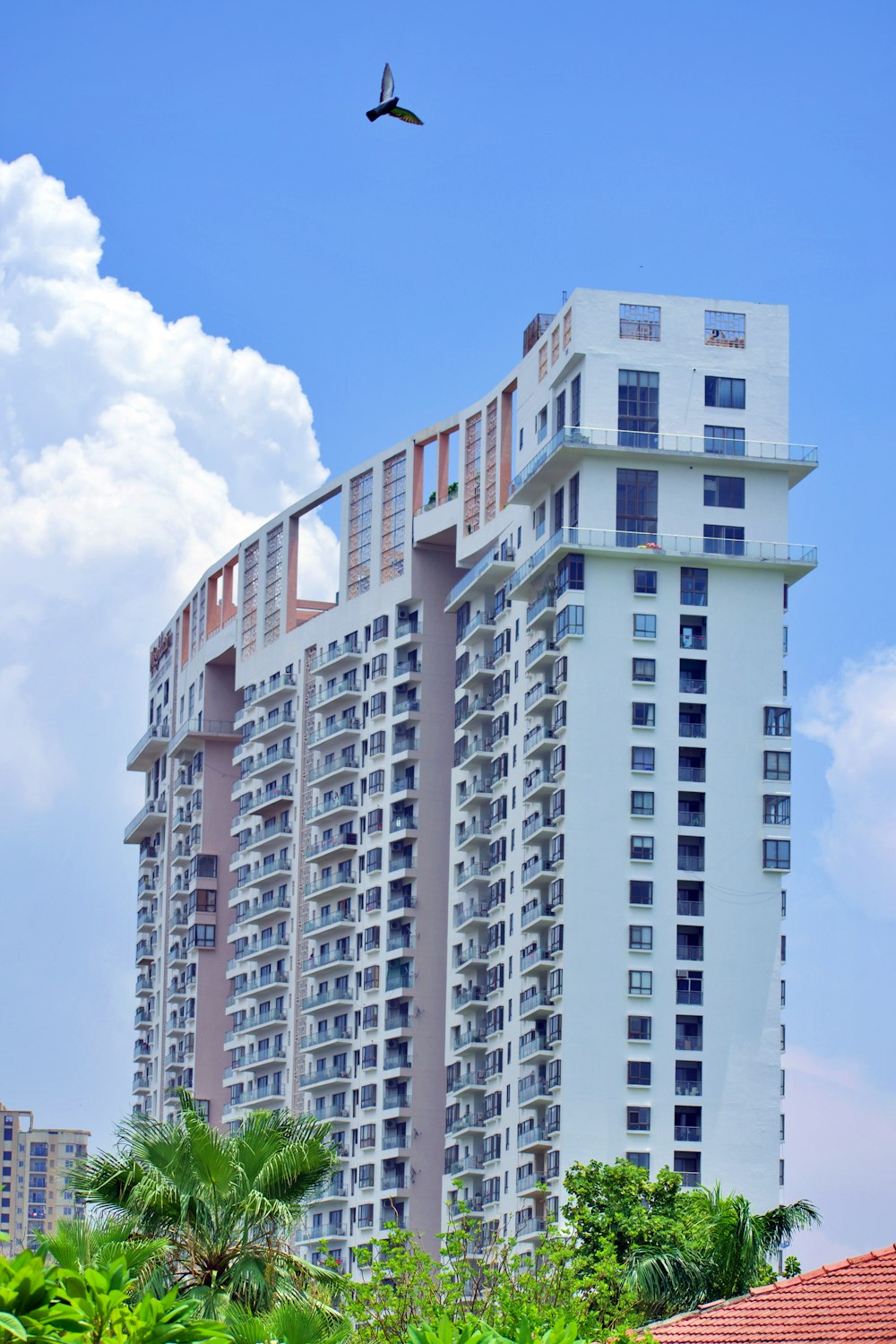 architectural photo of white and brown building