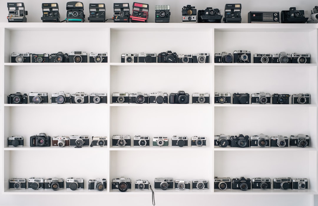 camera collection on white shelfves