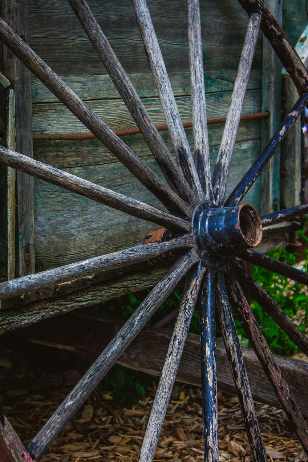 closeup photo of carriage wheel