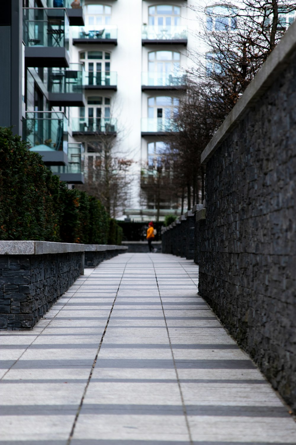 empty walkway at daytime