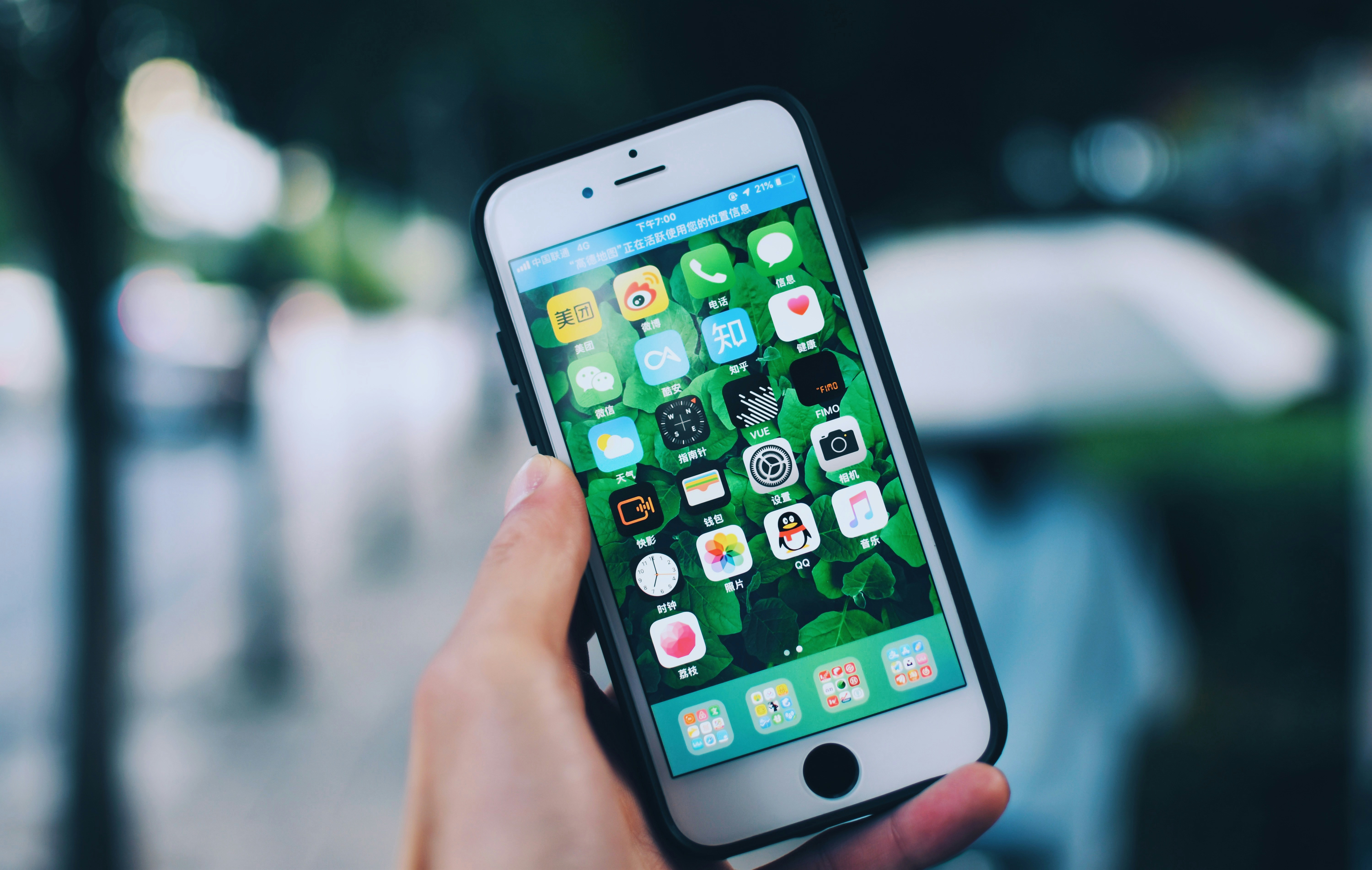 Photo by jizhidexiaohailang