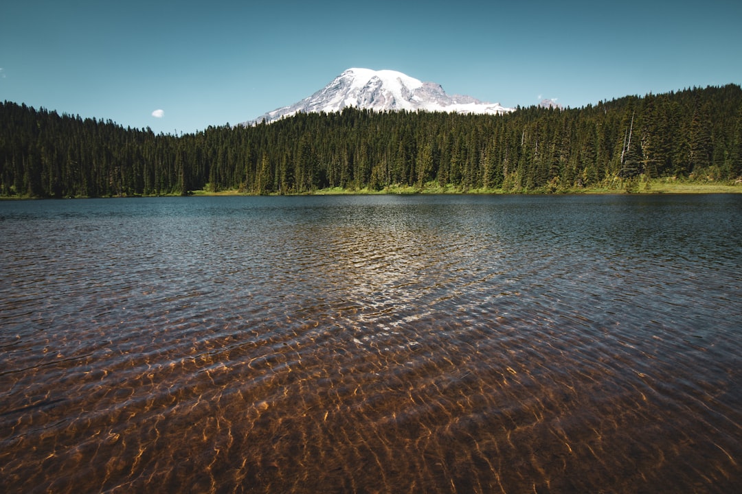 sea near forest viewing mountain