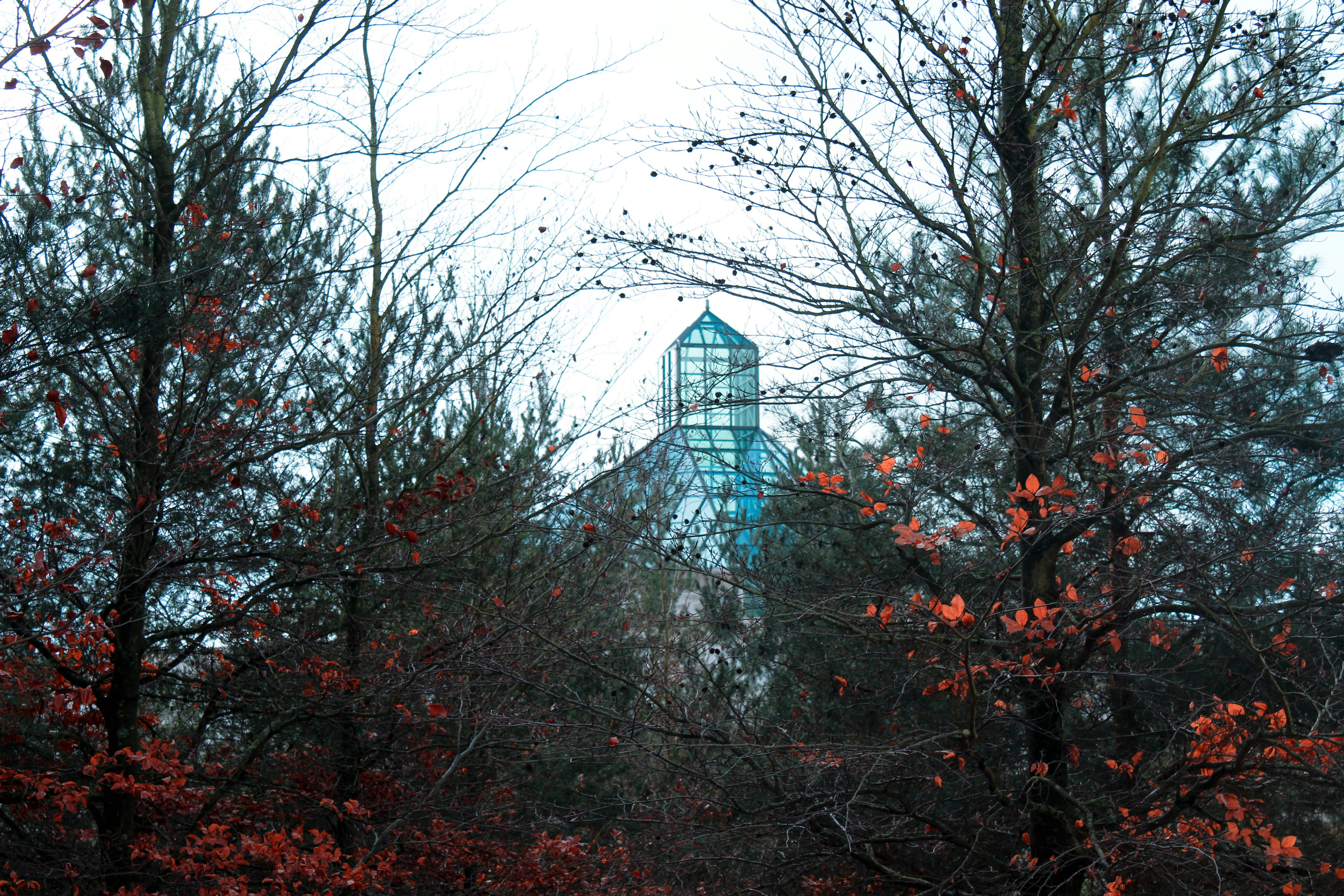 Photo by mngrphc