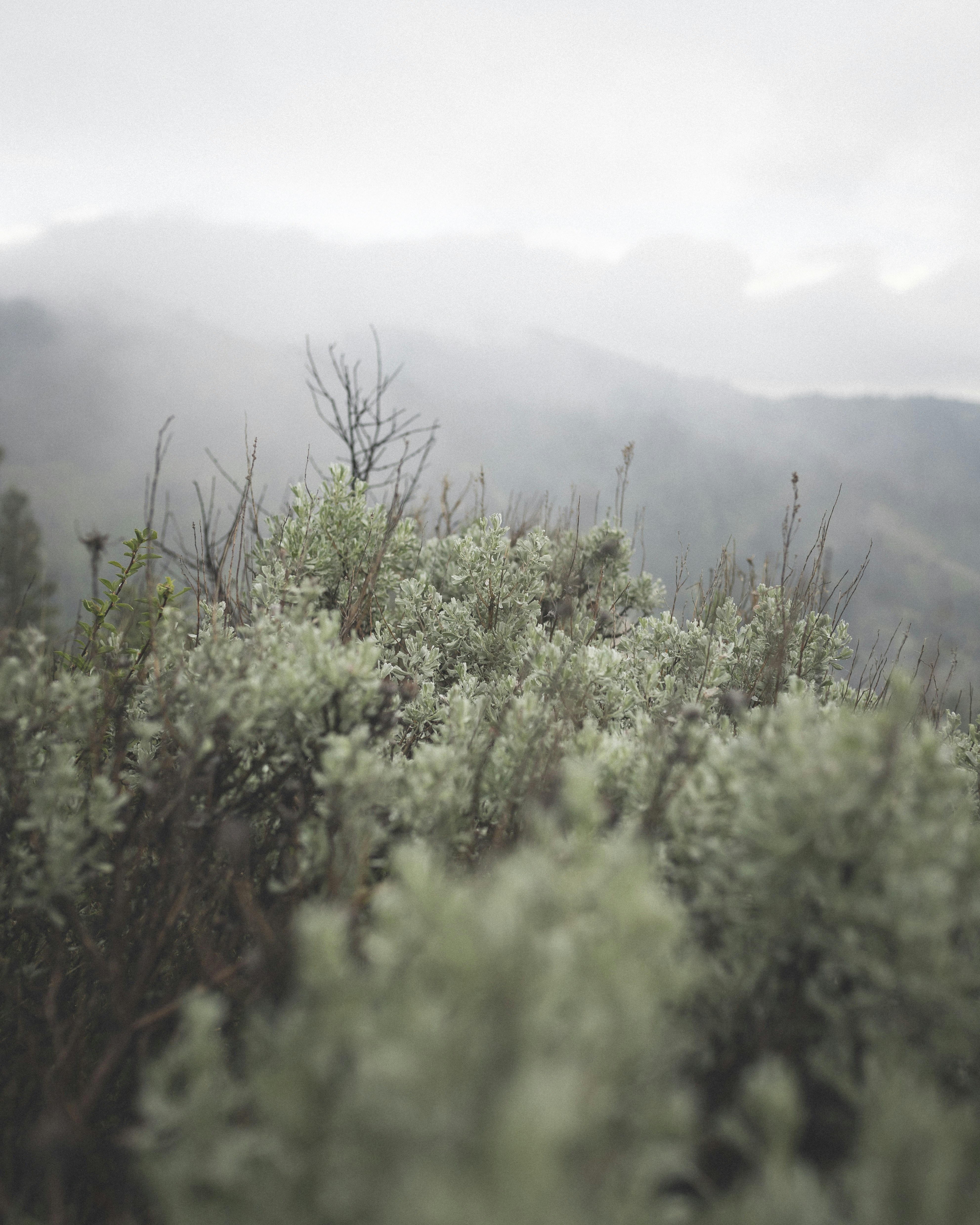 Photo by ryanpearson