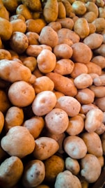 kartof yetisticiliyi