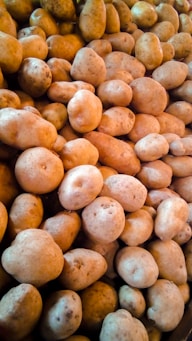 kartof yetisticiliyi